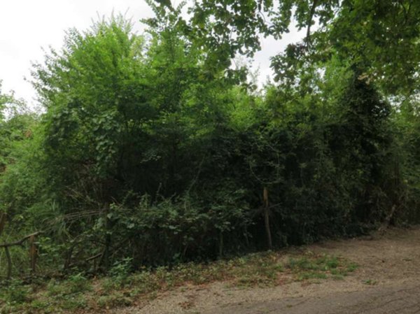 terreno edificabile in vendita a Castelfranco Emilia