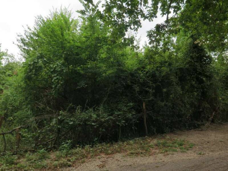 terreno edificabile in vendita a Castelfranco Emilia