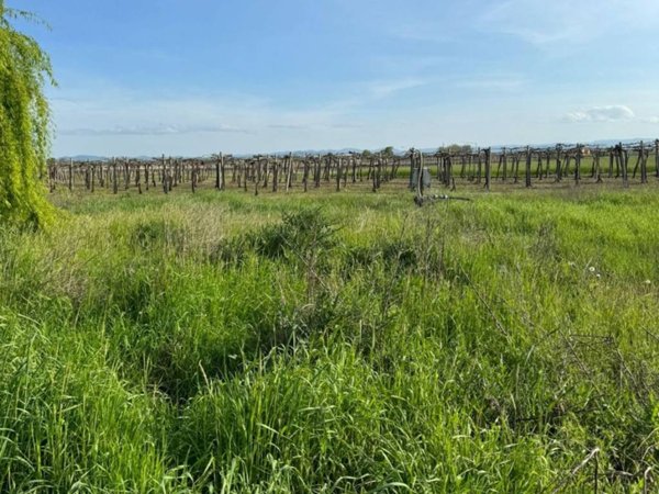 terreno agricolo in vendita a Castelfranco Emilia in zona Manzolino