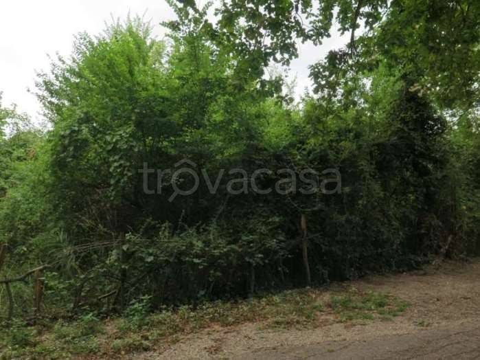 appartamento in vendita a Castelfranco Emilia