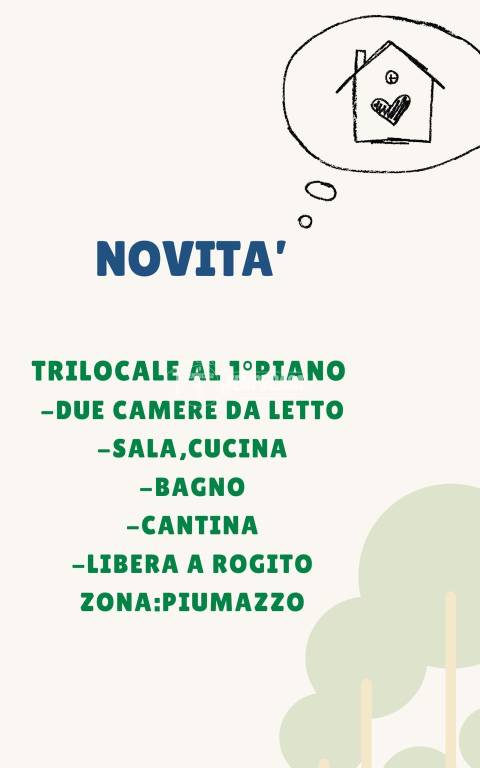 appartamento in vendita a Castelfranco Emilia in zona Piumazzo