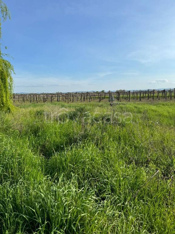 terreno agricolo in vendita a Castelfranco Emilia in zona Manzolino
