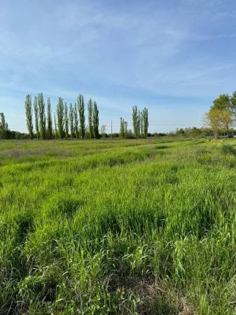terreno agricolo in vendita a Castelfranco Emilia in zona Manzolino
