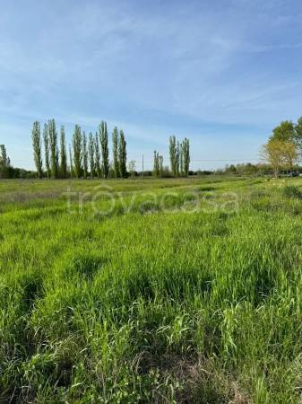 terreno agricolo in vendita a Castelfranco Emilia in zona Manzolino