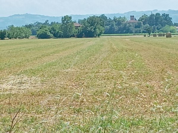casa indipendente in vendita a Castelnuovo Rangone in zona Montale Rangone
