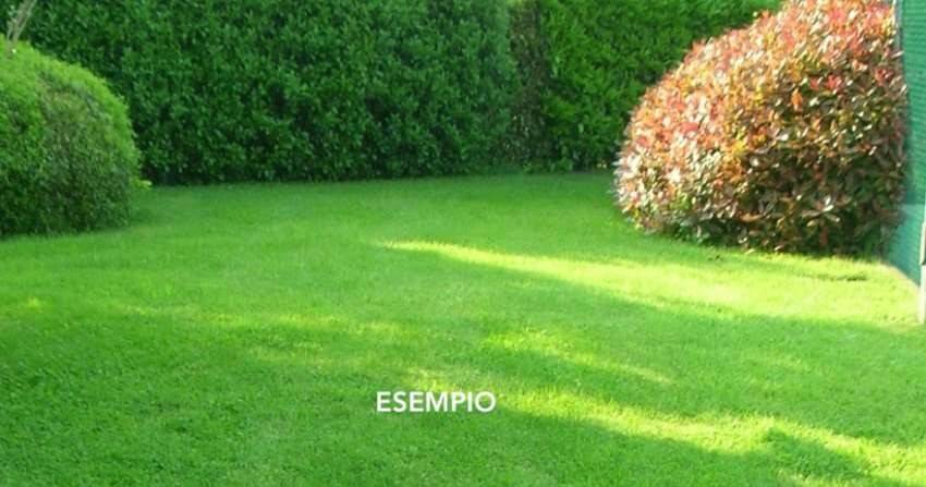 casa indipendente in vendita a Castelnuovo Rangone