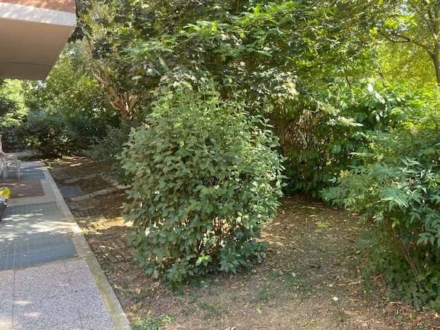 casa indipendente in vendita a Castelnuovo Rangone