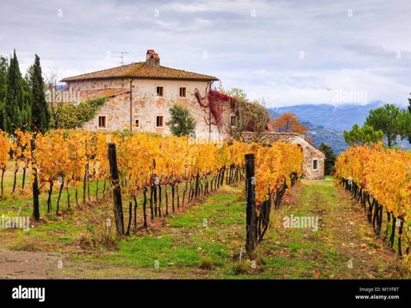 casa indipendente in vendita a Castelnuovo Rangone