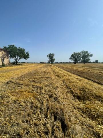 appartamento in vendita a Castelnuovo Rangone
