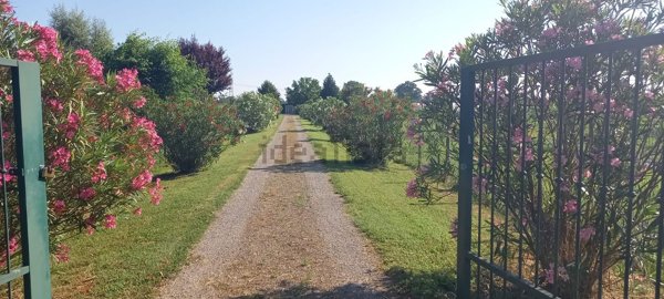 terreno agricolo in vendita a Castelnuovo Rangone