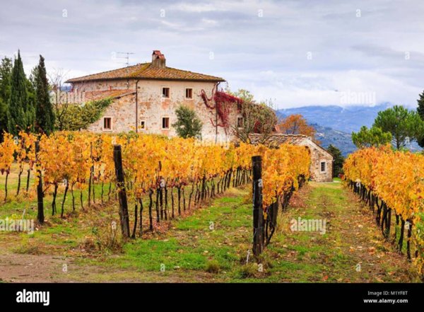 casa indipendente in vendita a Castelnuovo Rangone in zona Cavidole