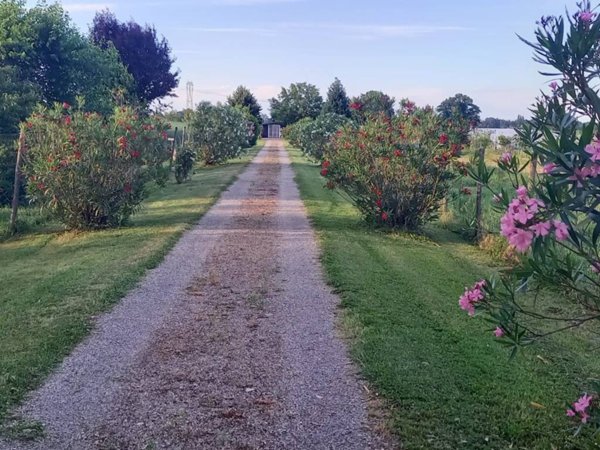 terreno agricolo in vendita a Castelnuovo Rangone in zona Cavidole