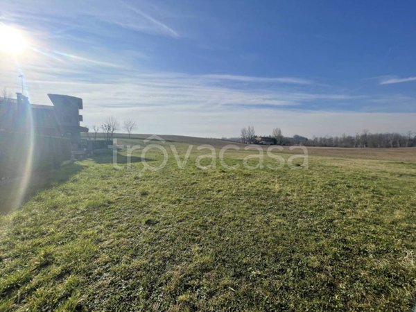 terreno agricolo in vendita a Castelvetro di Modena in zona Ca' di Sola