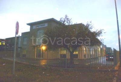 capannone in vendita a Castelvetro di Modena in zona Solignano Nuovo