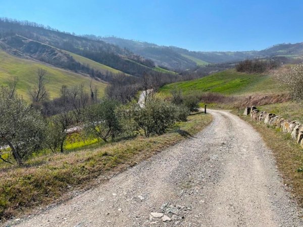 casa indipendente in vendita a Castelvetro di Modena