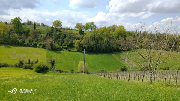 terreno agricolo in vendita a Castelvetro di Modena in zona Levizzano Rangone