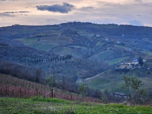 casa indipendente in vendita a Castelvetro di Modena
