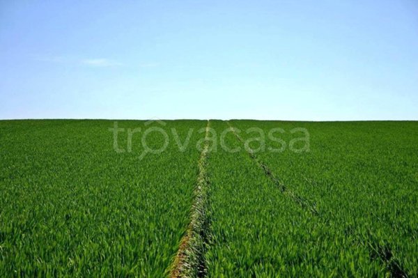 terreno edificabile in vendita a Castelvetro di Modena in zona Levizzano Rangone