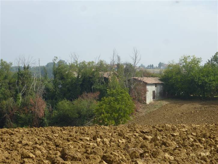 casa indipendente in vendita a Castelvetro di Modena