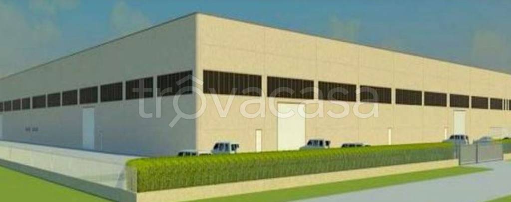 terreno agricolo in vendita a Castelvetro di Modena in zona Solignano Nuovo