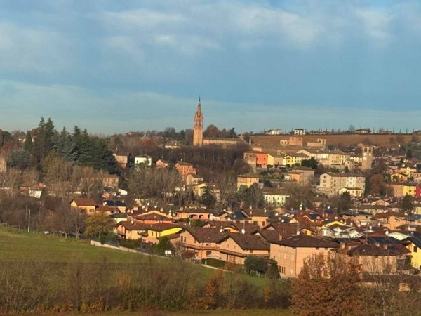 pentavano in vendita a Castelvetro di Modena