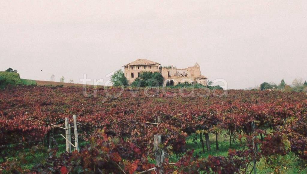 casa indipendente in vendita a Castelvetro di Modena