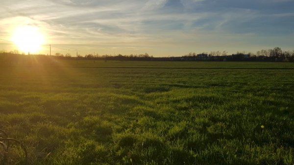 terreno agricolo in vendita a Castelvetro di Modena