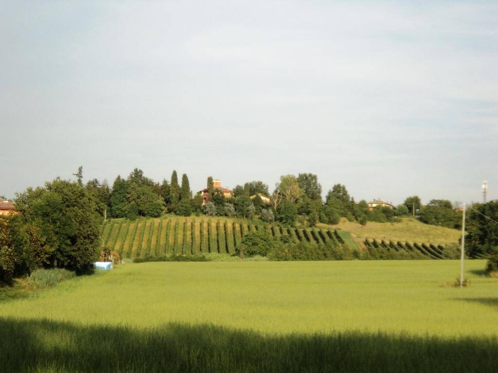 terreno agricolo in vendita a Castelvetro di Modena