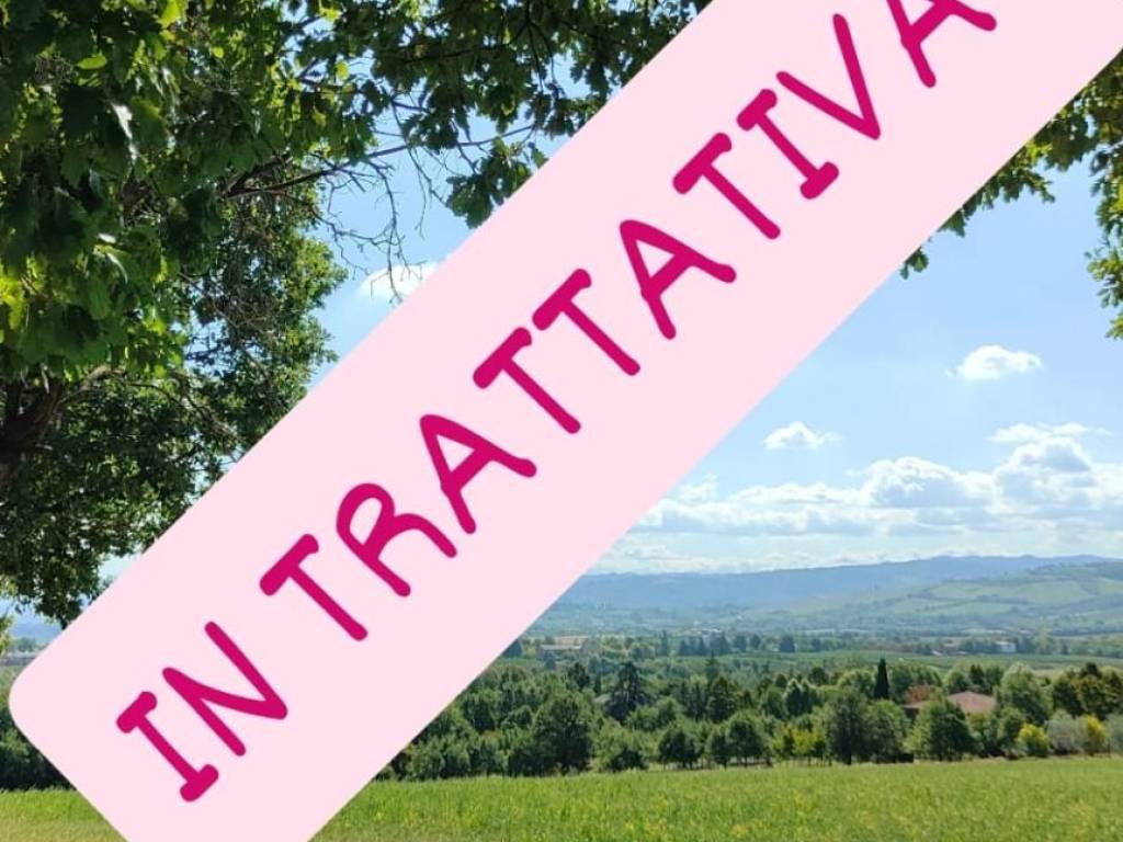 appartamento in vendita a Castelvetro di Modena