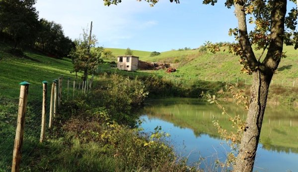 appartamento in vendita a Castelvetro di Modena