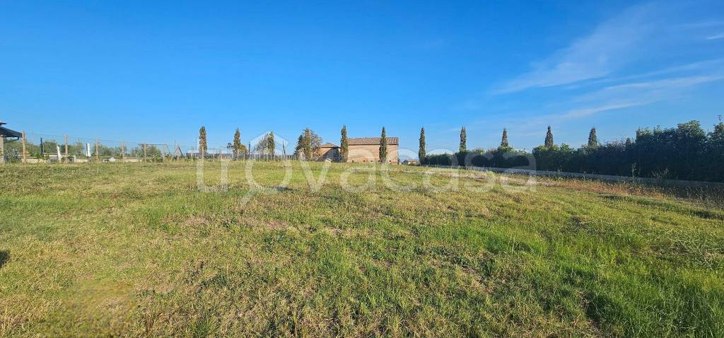 terreno edificabile in vendita a Castelvetro di Modena