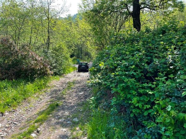 quadrivano in vendita a Castelvetro di Modena