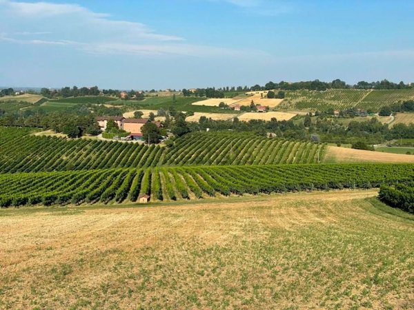 appartamento in vendita a Castelvetro di Modena