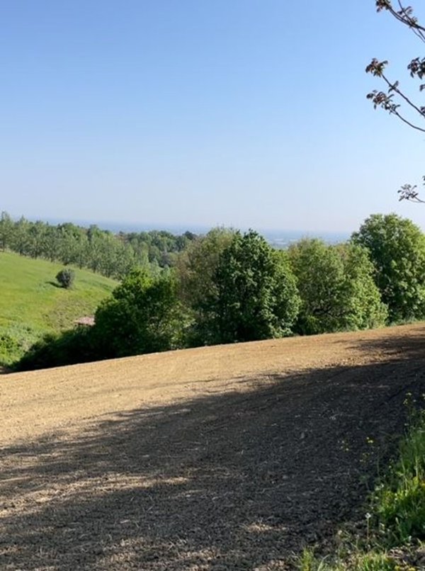 pentavano in vendita a Castelvetro di Modena