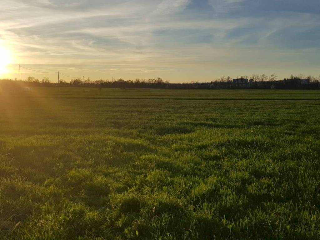 casale in vendita a Castelvetro di Modena