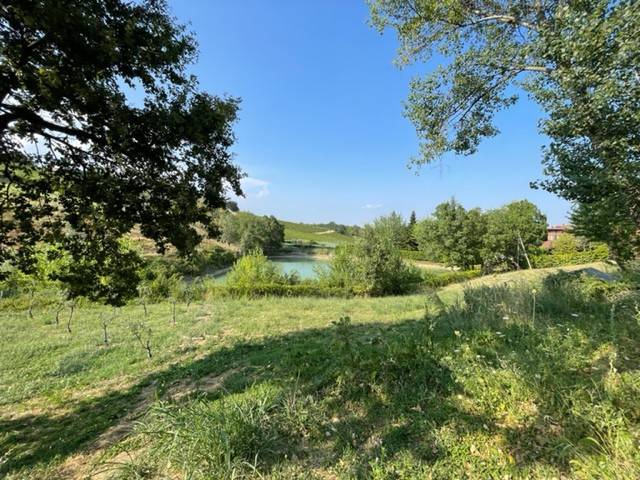 esavano in vendita a Castelvetro di Modena