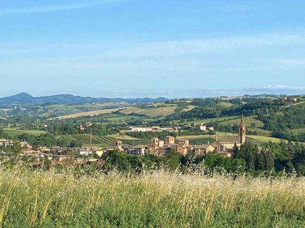 casa indipendente in vendita a Castelvetro di Modena