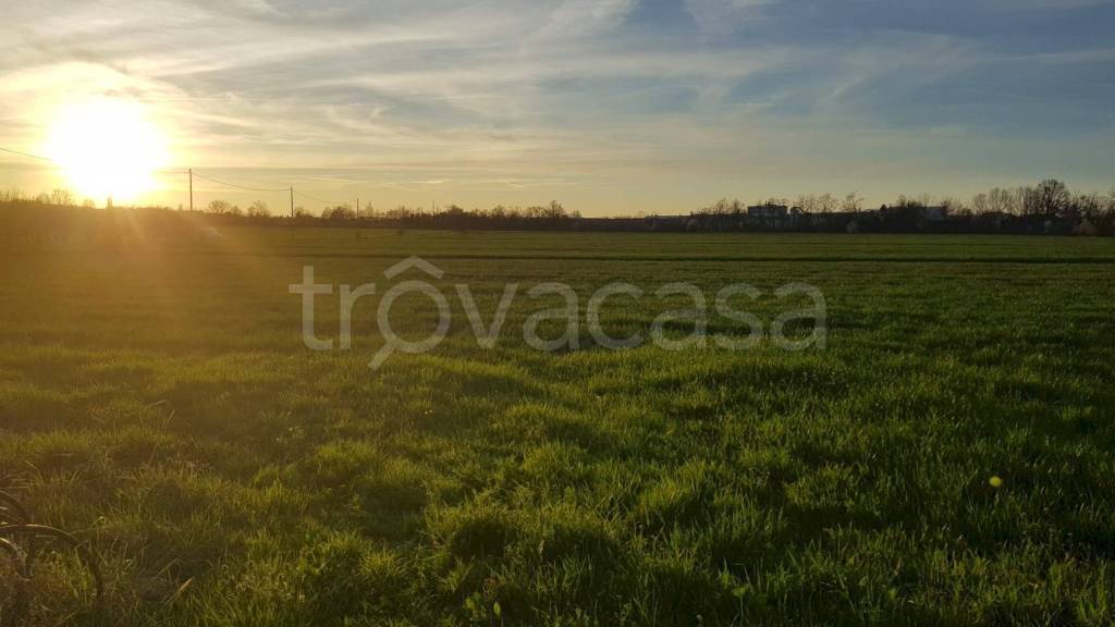 casale in vendita a Castelvetro di Modena