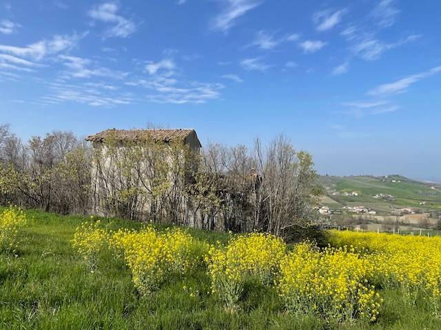casa indipendente in vendita a Castelvetro di Modena
