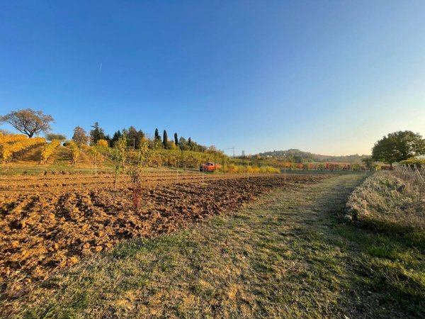 terreno agricolo in vendita a Castelvetro di Modena