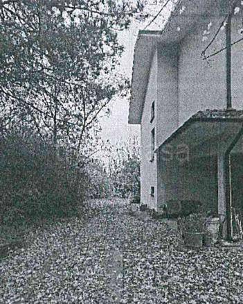 appartamento in vendita a Castelvetro di Modena