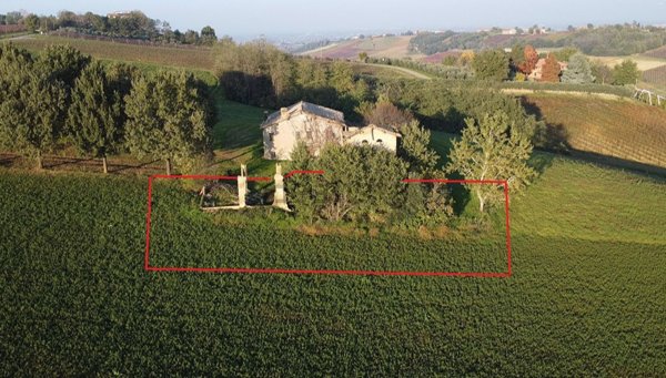 quadrivano in vendita a Castelvetro di Modena