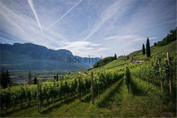 terreno in vendita a Castelvetro di Modena
