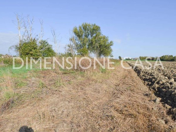 terreno agricolo in vendita a Concordia sulla Secchia