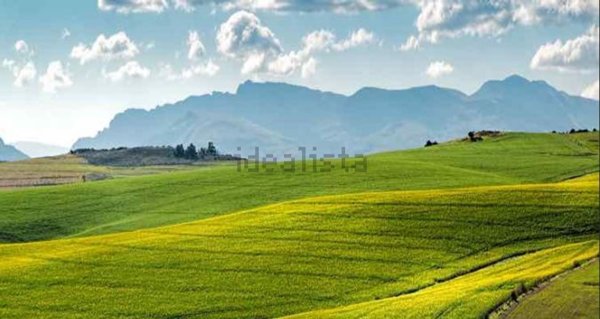 terreno agricolo in vendita a Concordia sulla Secchia