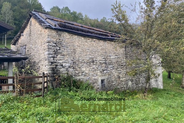 esavano in vendita a Fanano in zona Fellicarolo