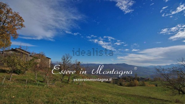 esavano in vendita a Fanano in zona Trentino