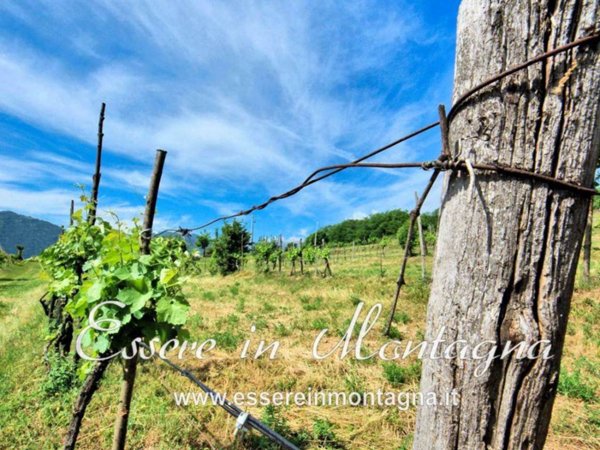 casa indipendente in vendita a Fanano in zona Trentino