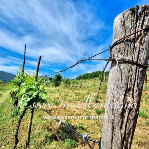 casa indipendente in vendita a Fanano in zona Trentino