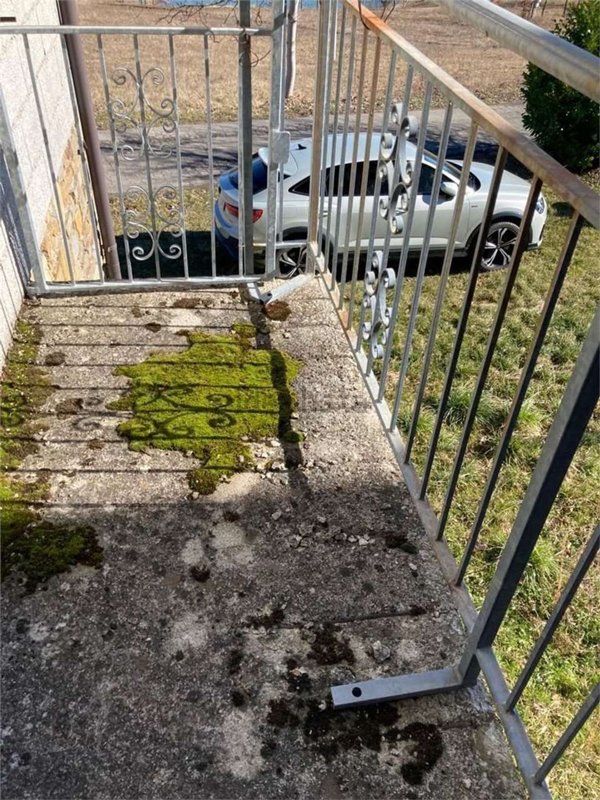 pentavano in vendita a Fanano in zona Lotta